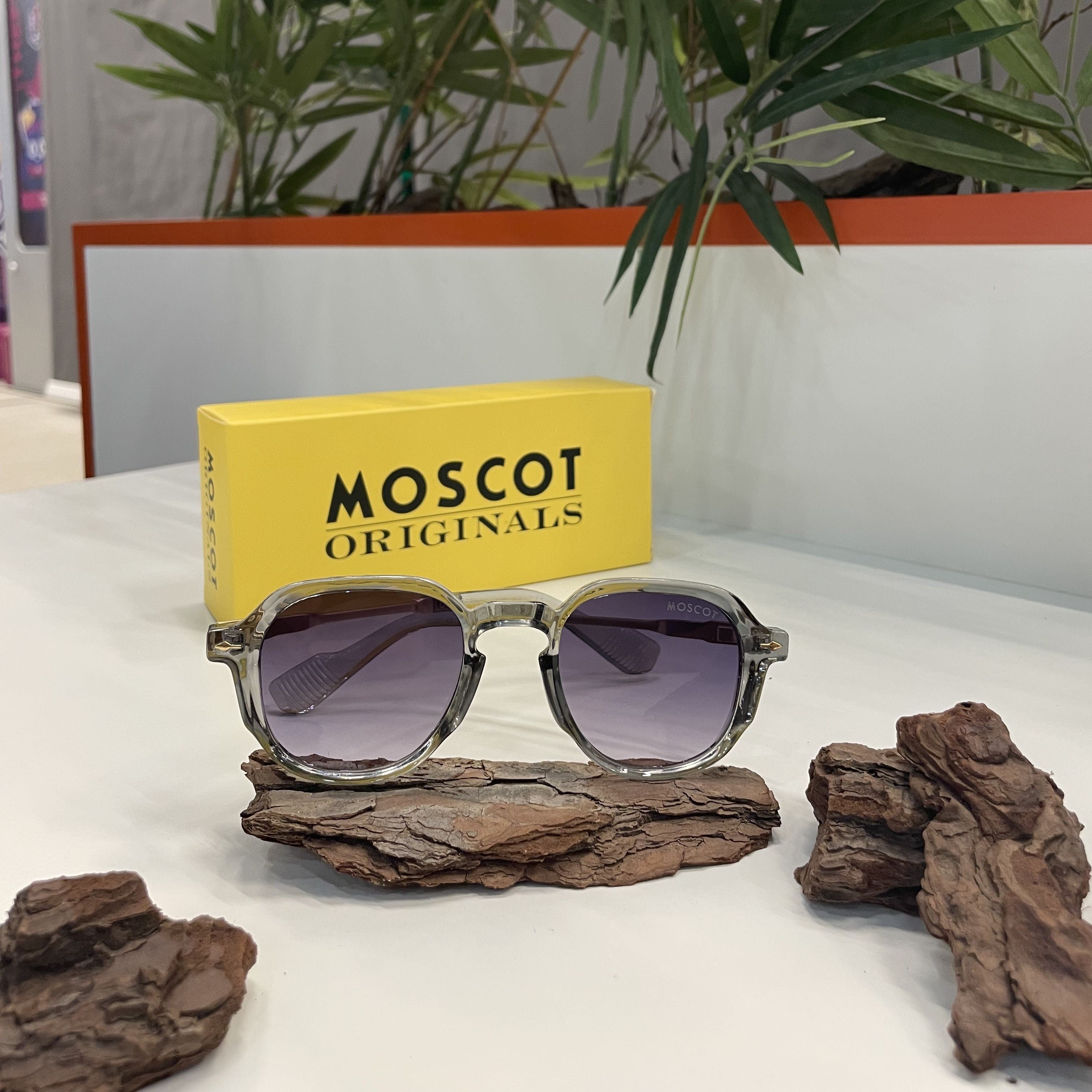 Lunettes Moscot Transparent verres mauves