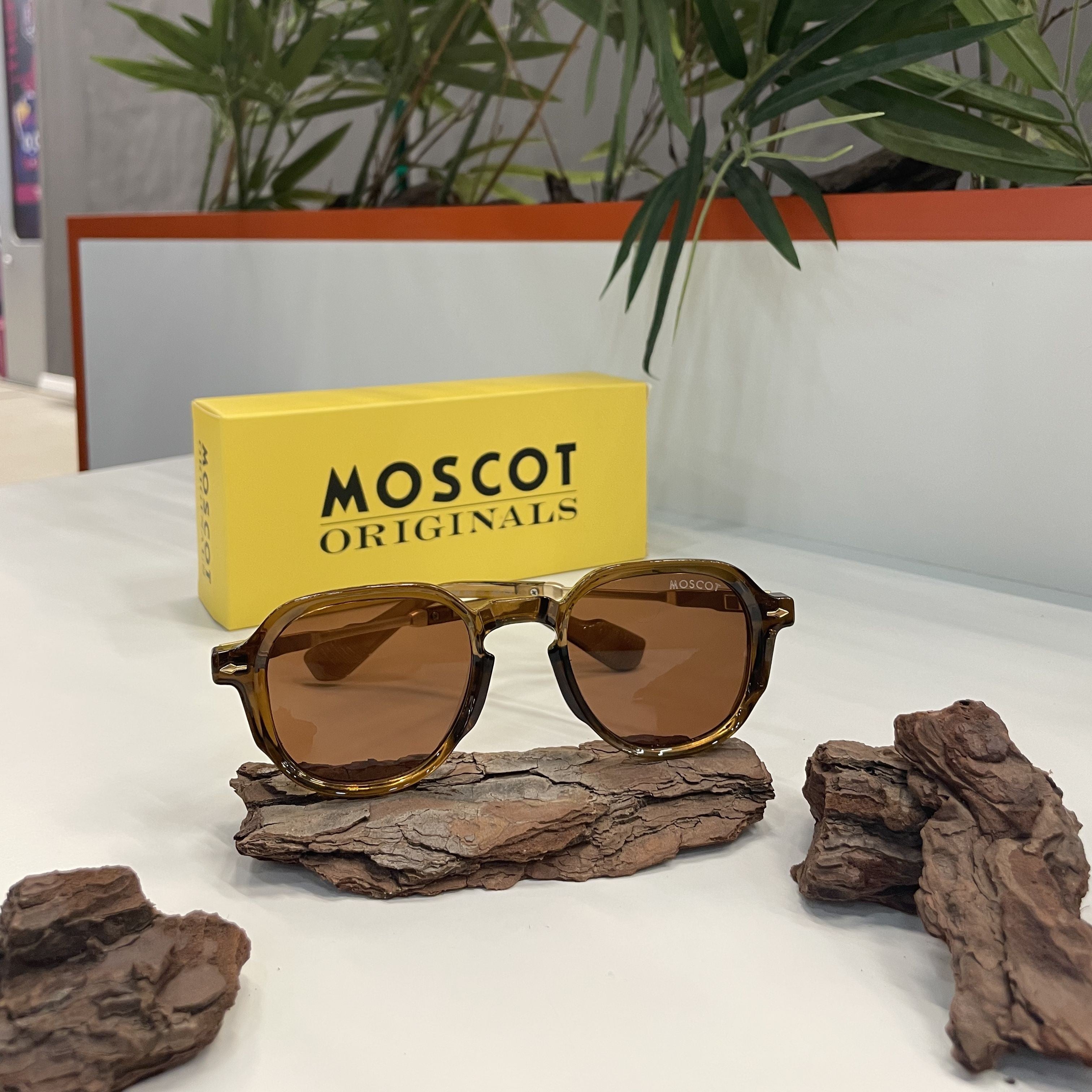 Lunettes Moscot Brun