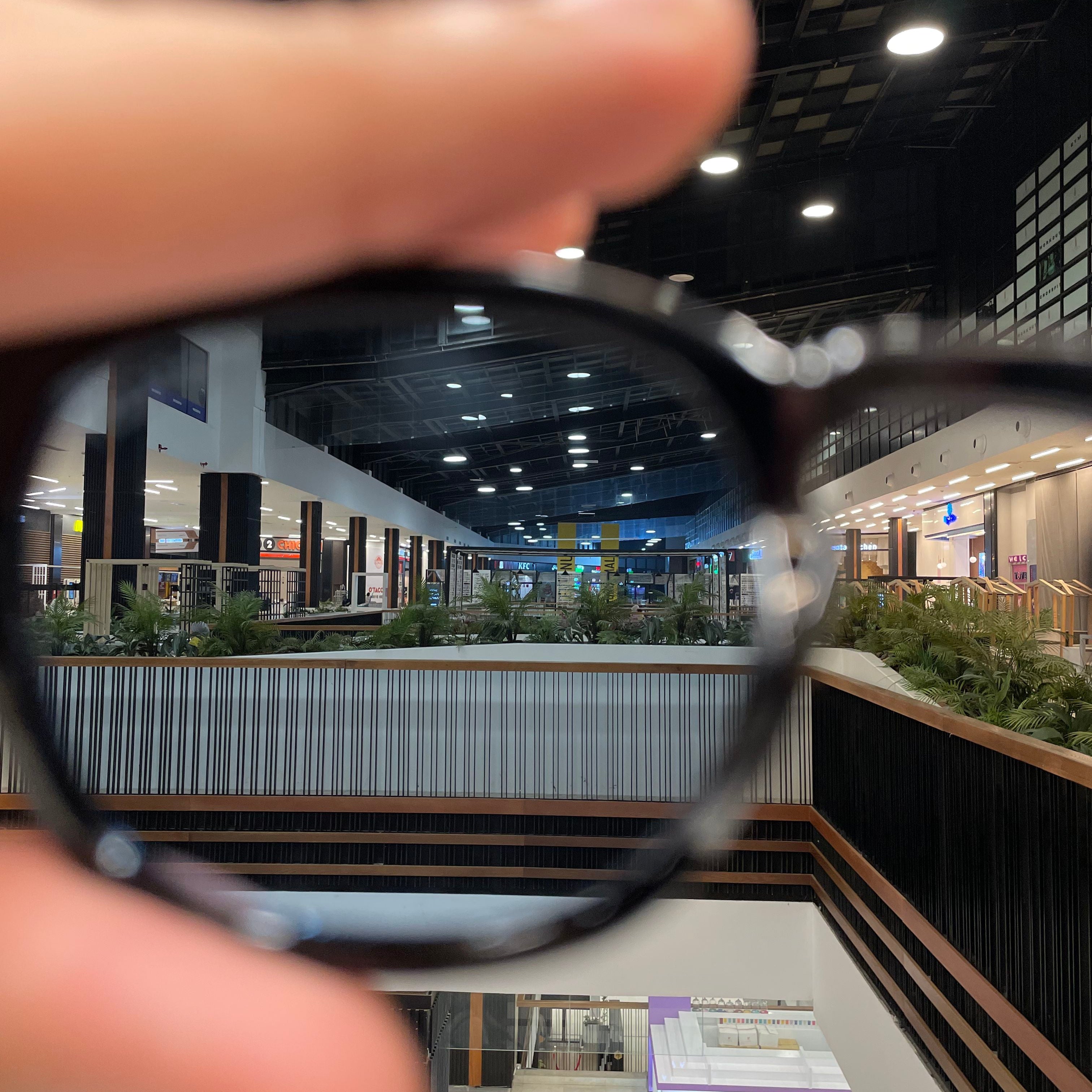 Lunettes Moscot Noires – Verres bleus
