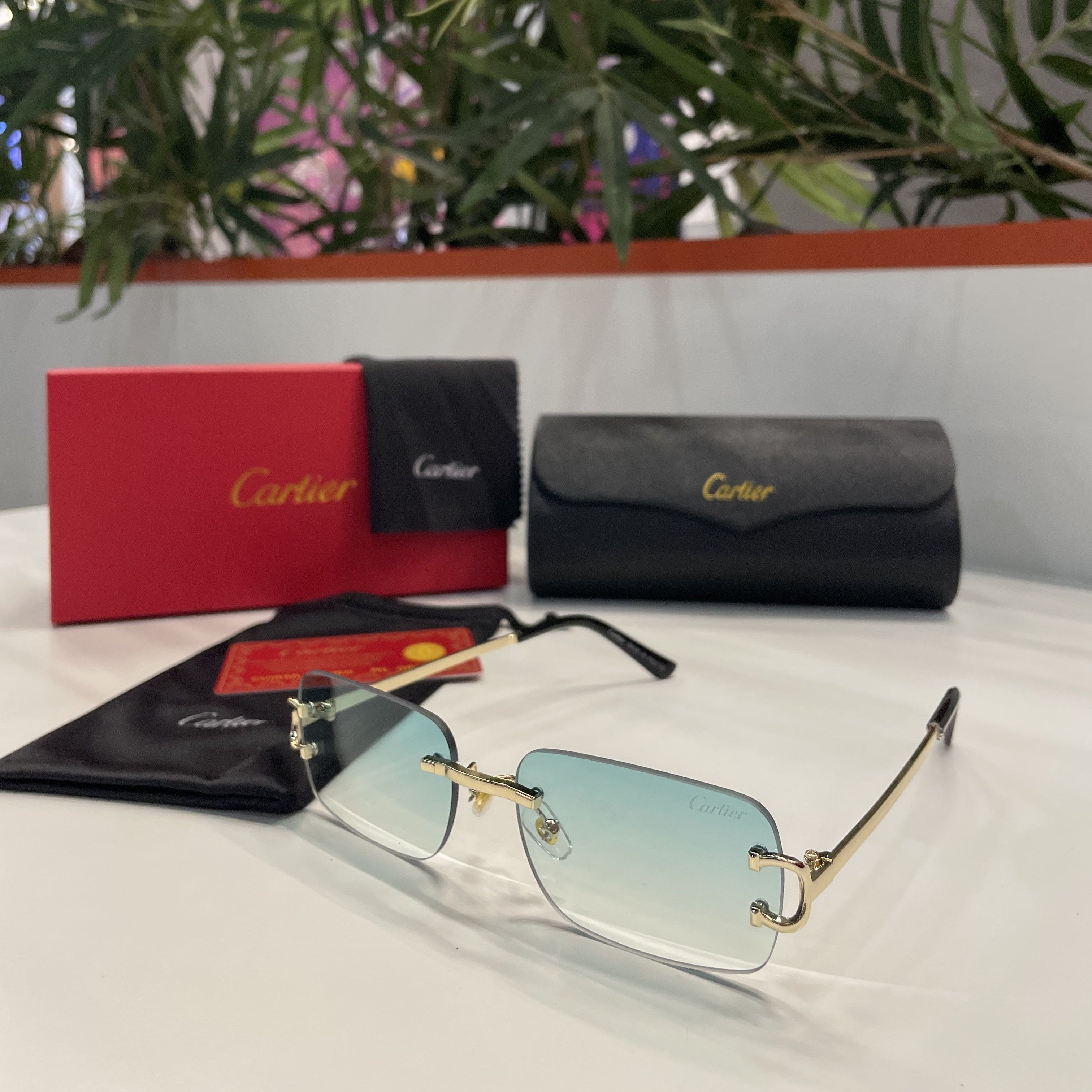 Lunettes Cartier verres dégradés vert