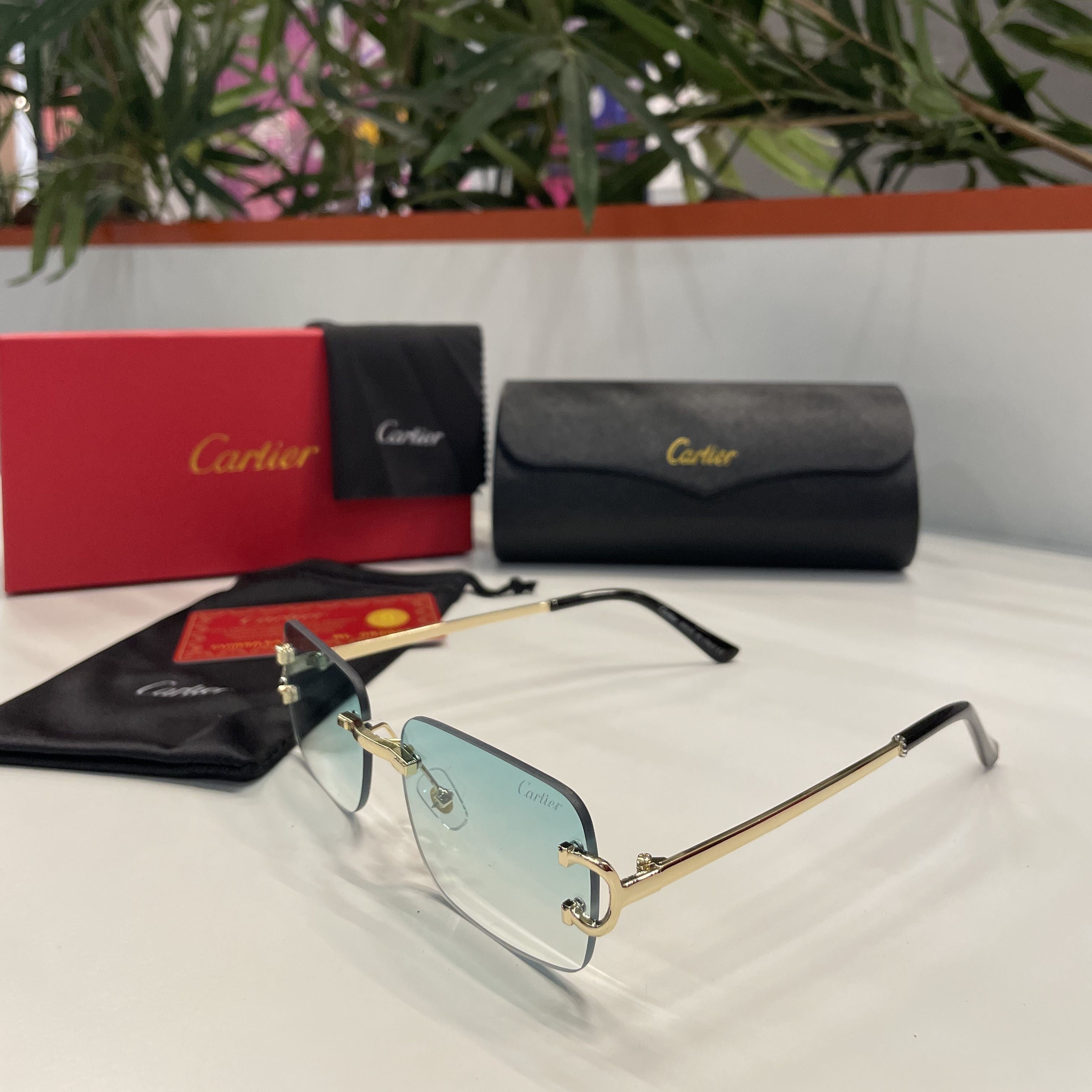 Lunettes Cartier verres dégradés vert