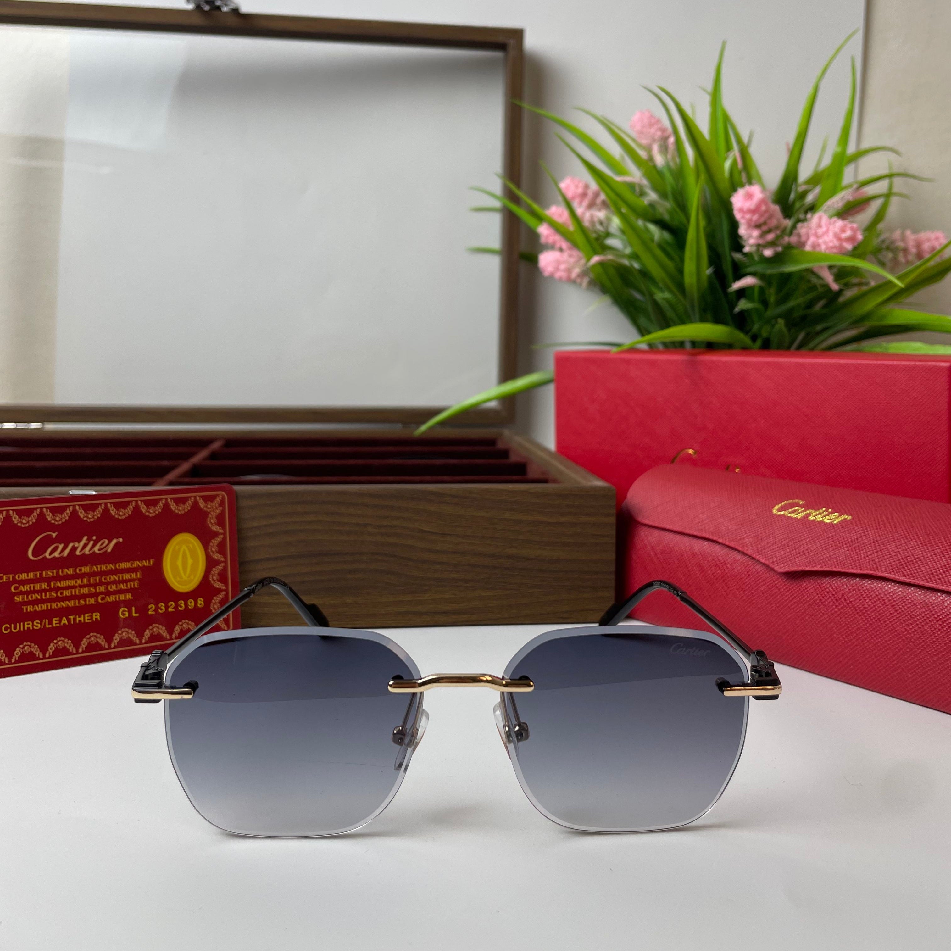 Lunettes Cartier Élégance Horizon