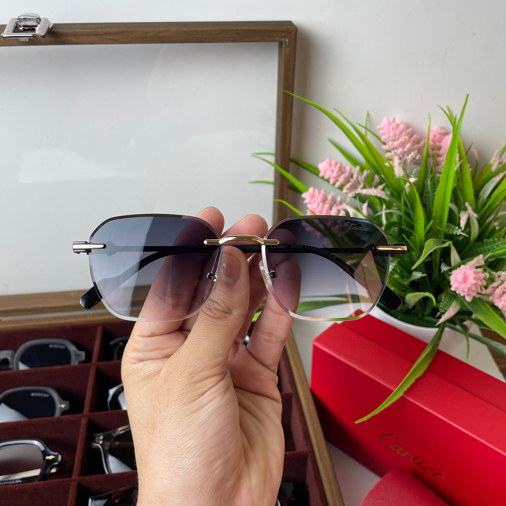 Lunettes Cartier Élégance Horizon