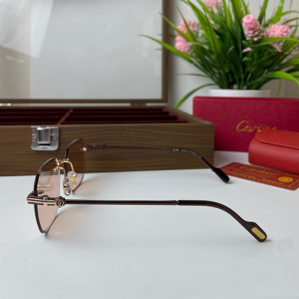 Lunettes Cartier Élégance Horizon