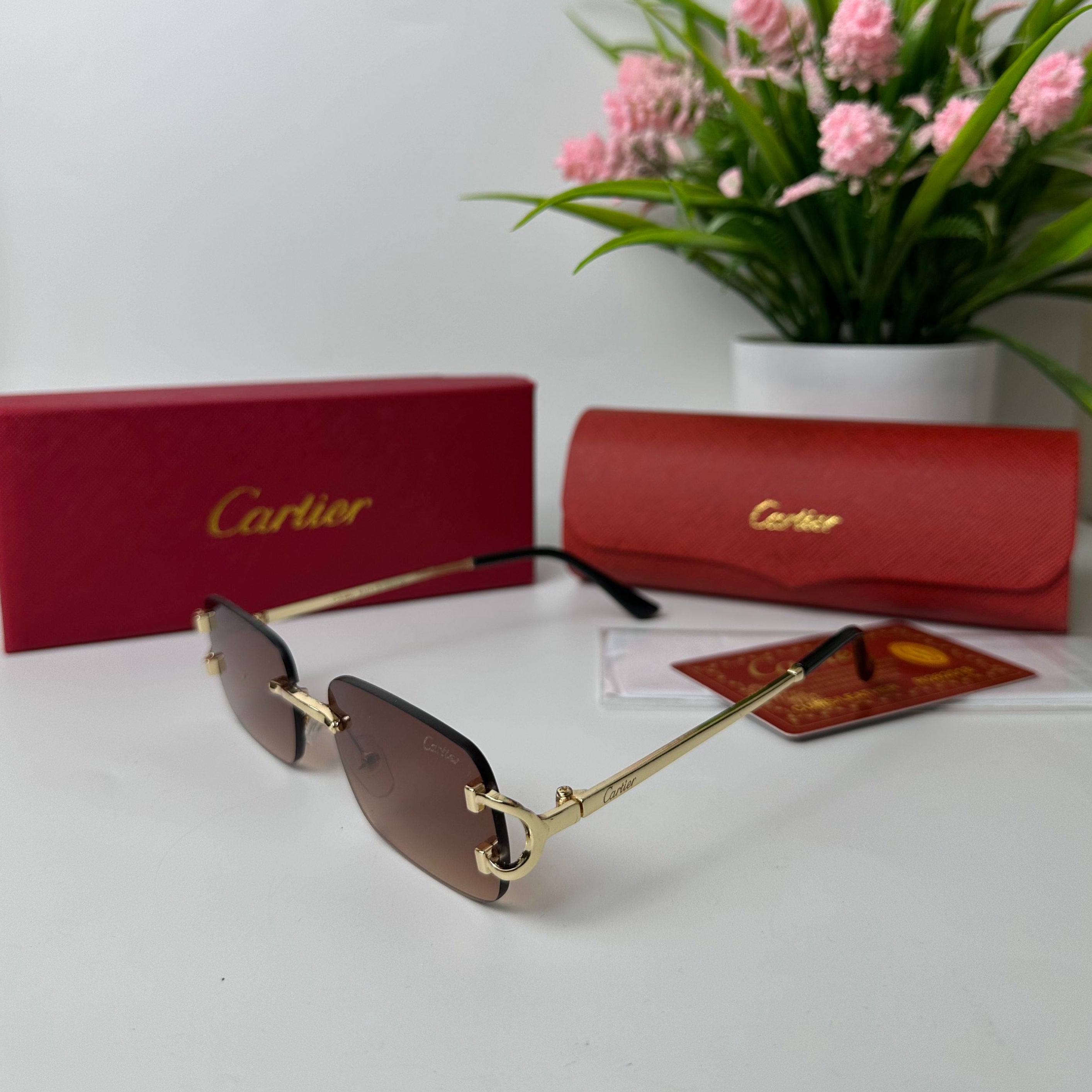 Lunettes Cartier VAREL