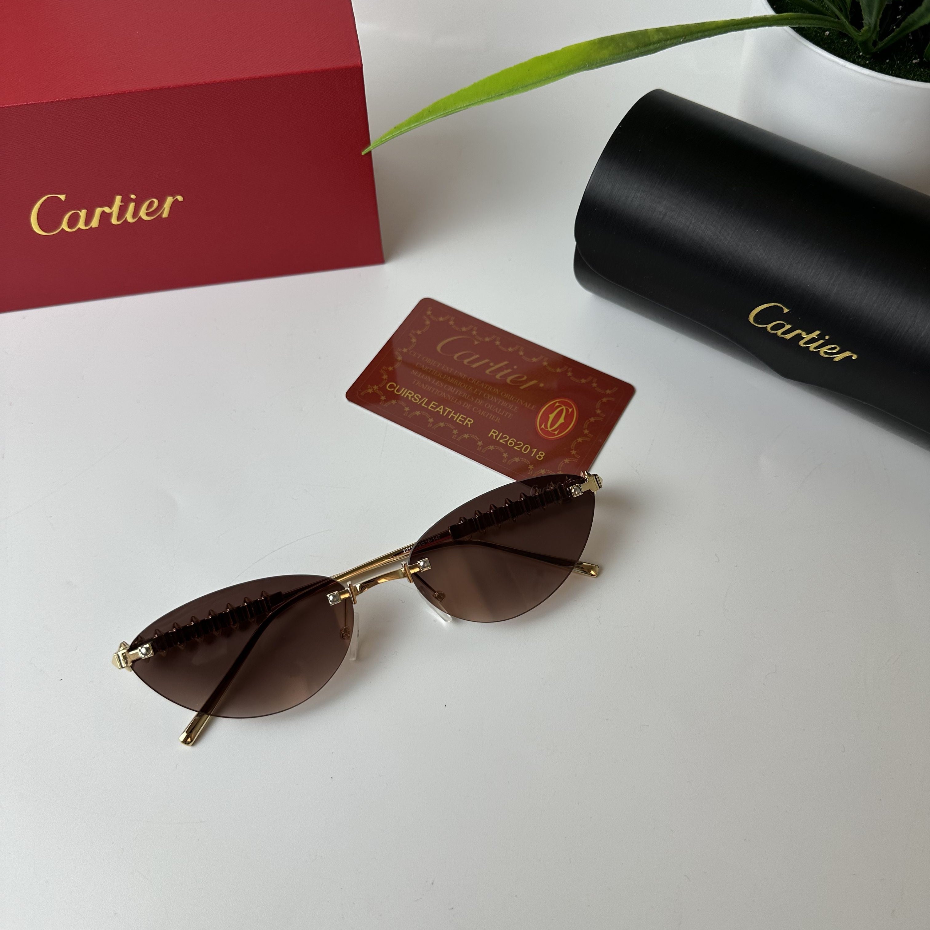 Lunettes Cartier ÉLYSIA