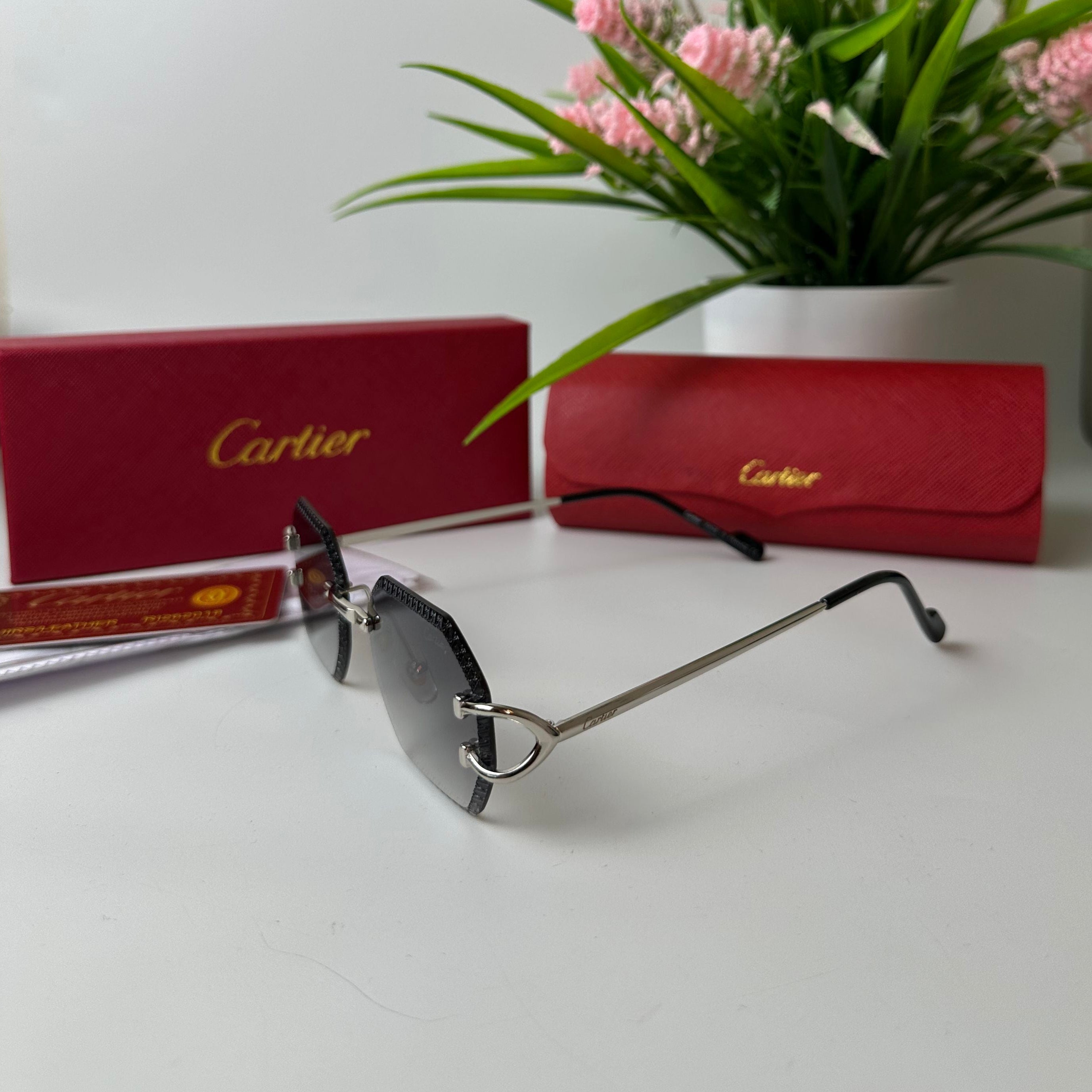 Lunettes Cartier Monarch