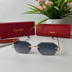 Lunettes Cartier Monarch