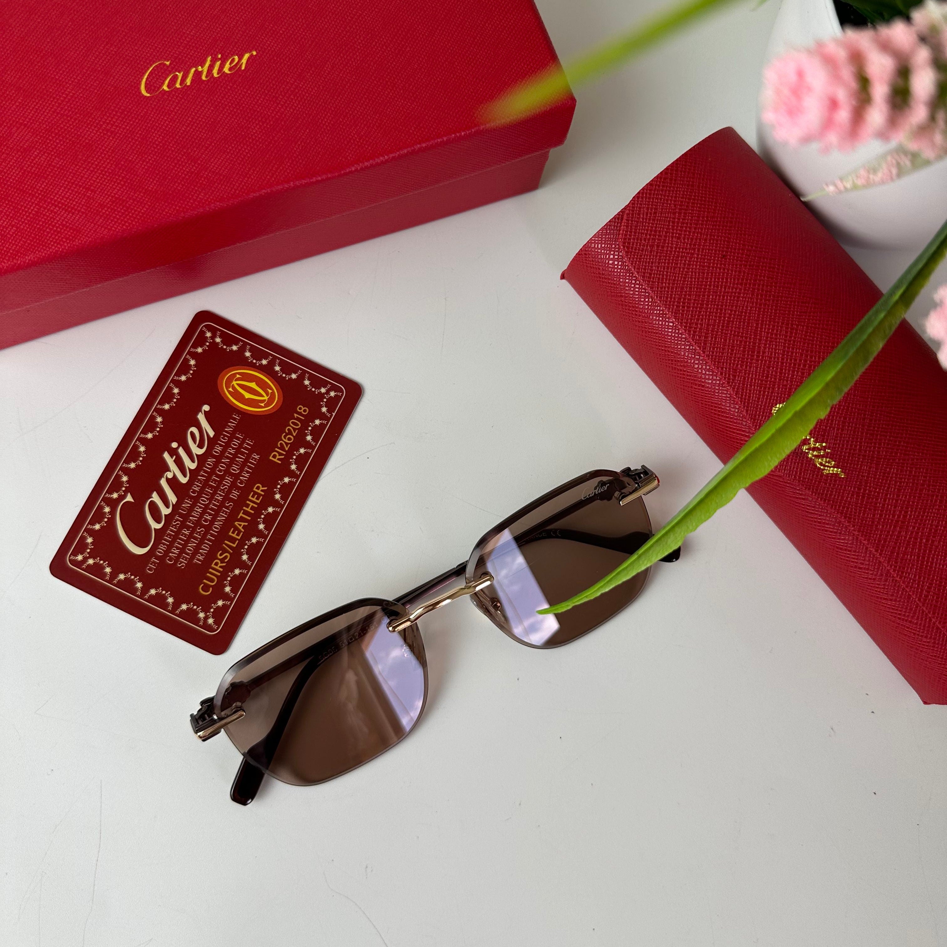 Lunettes Cartier Élégance Horizon