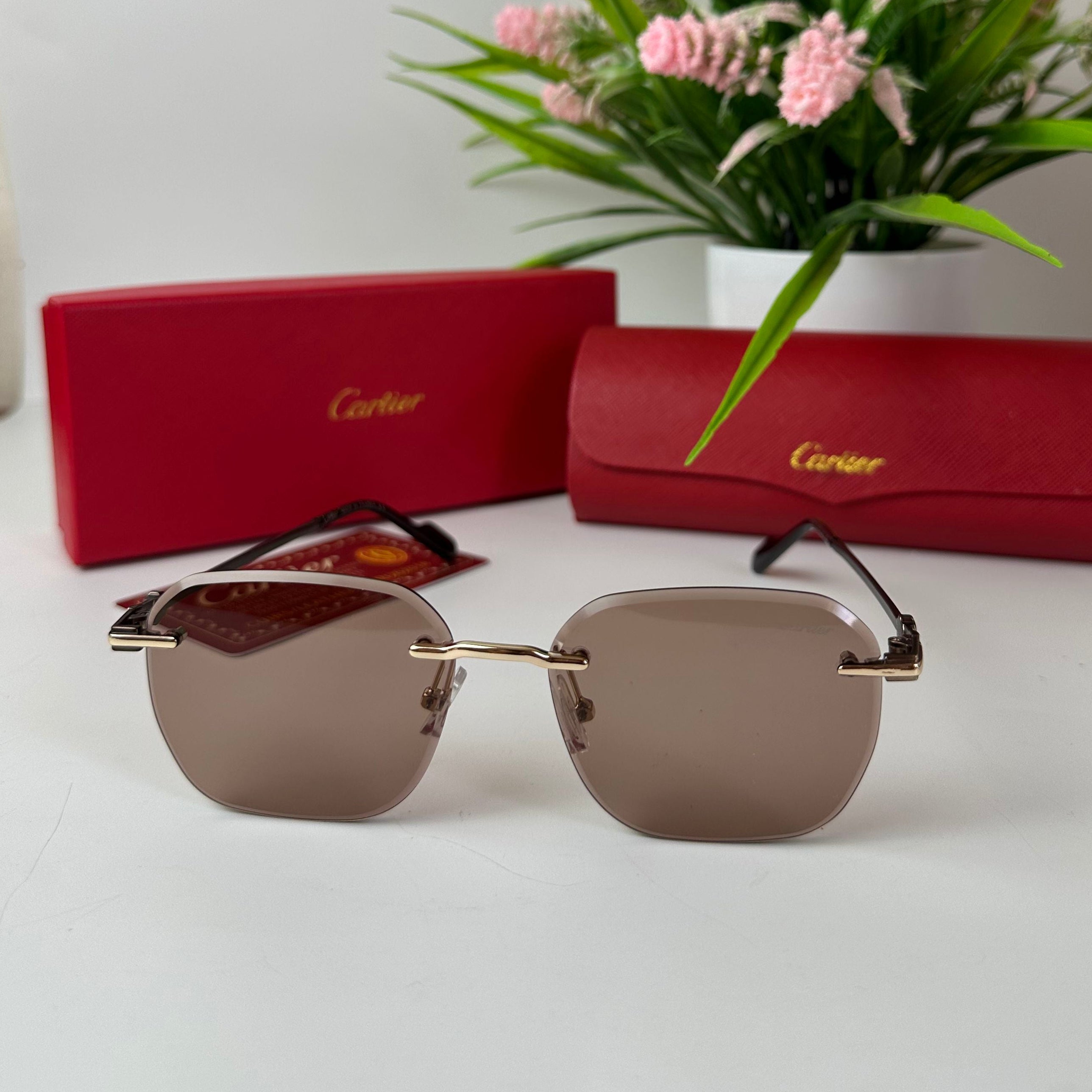 Lunettes Cartier Élégance Horizon
