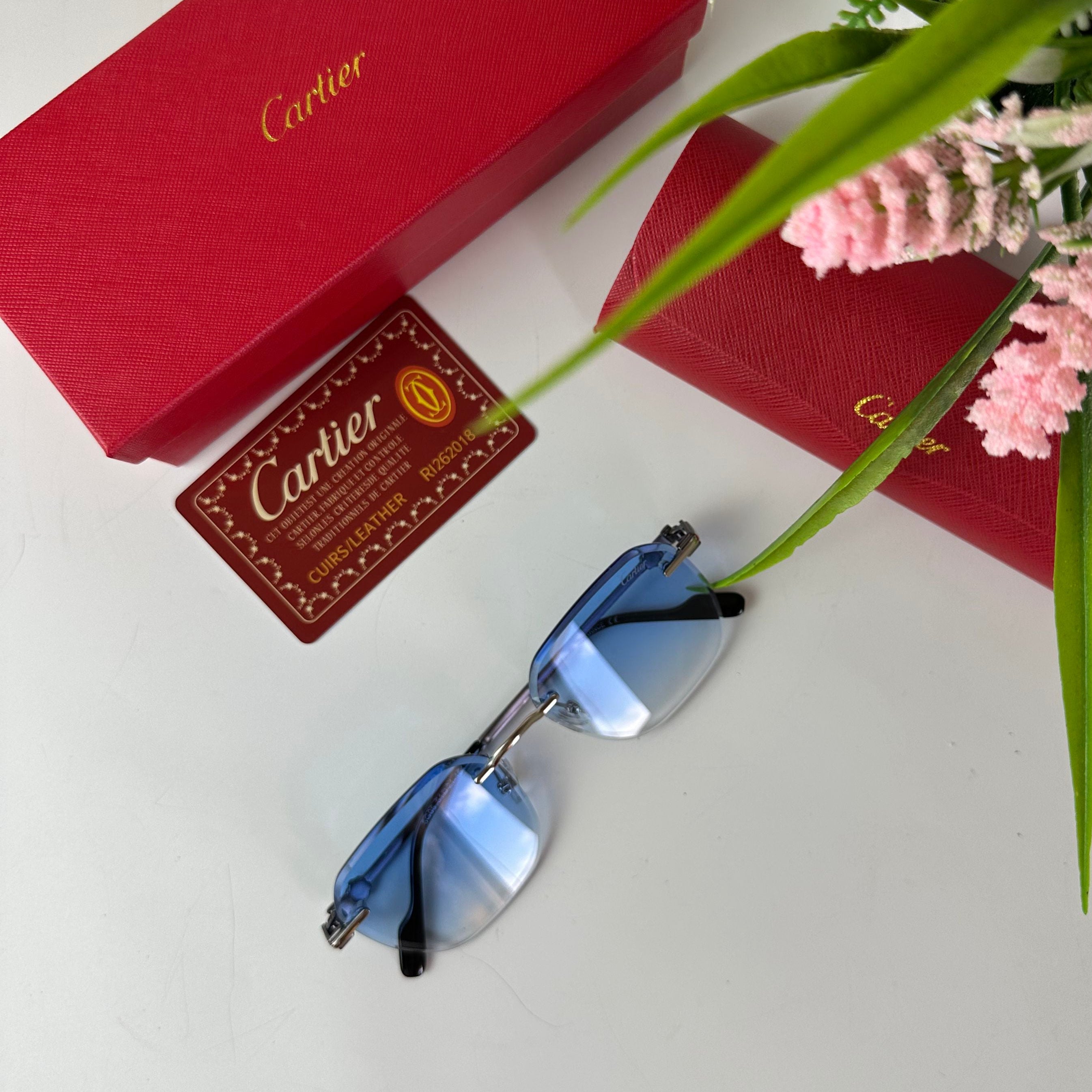 Lunettes Cartier Élégance Horizon