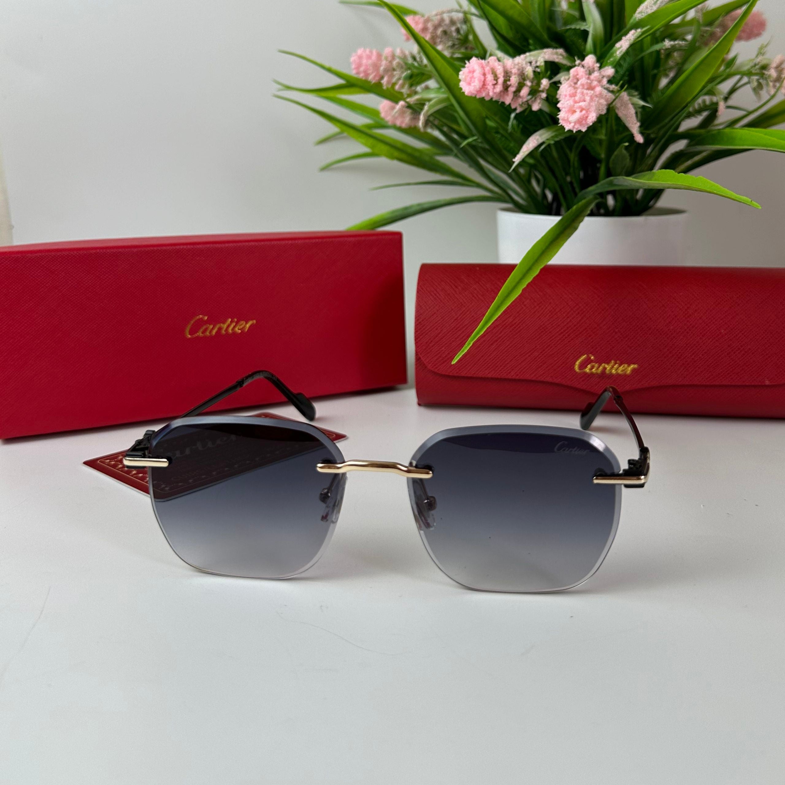 Lunettes Cartier Élégance Horizon
