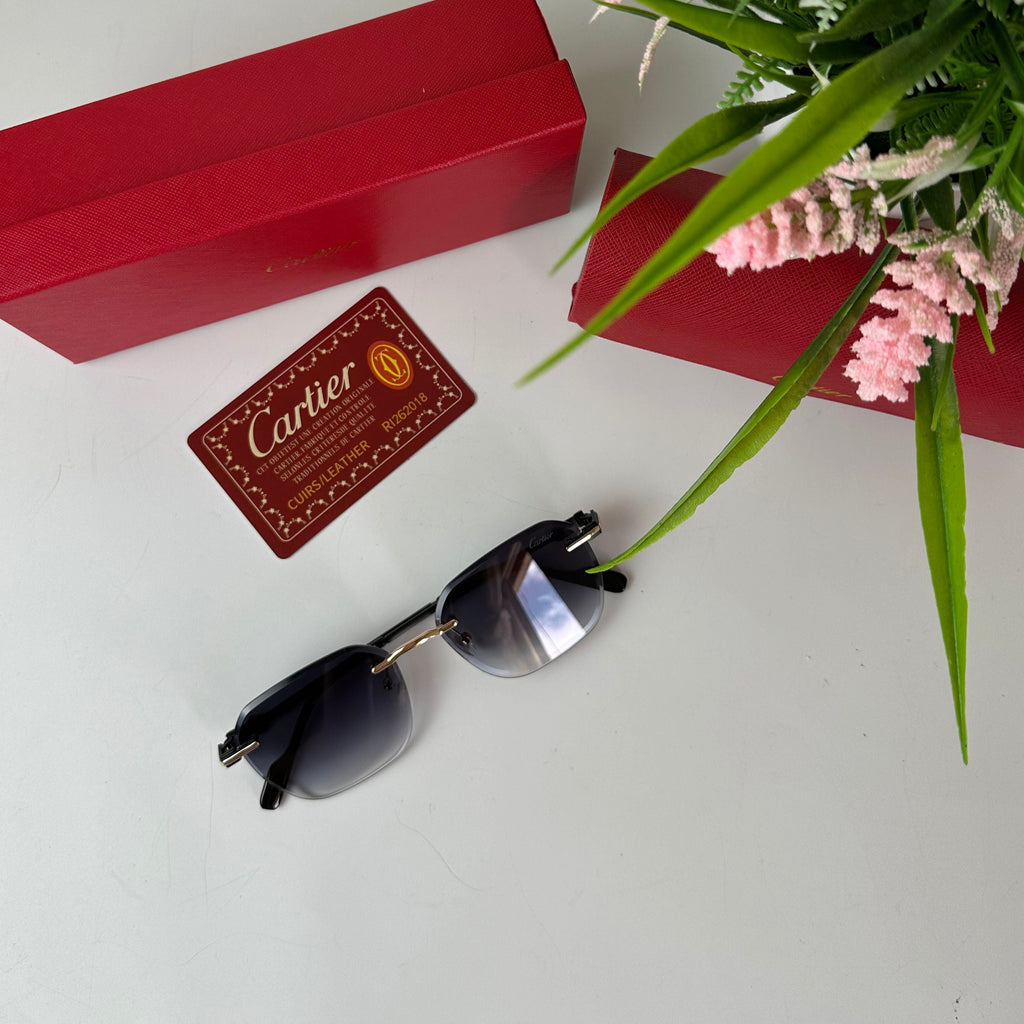 Lunettes Cartier Élégance Horizon
