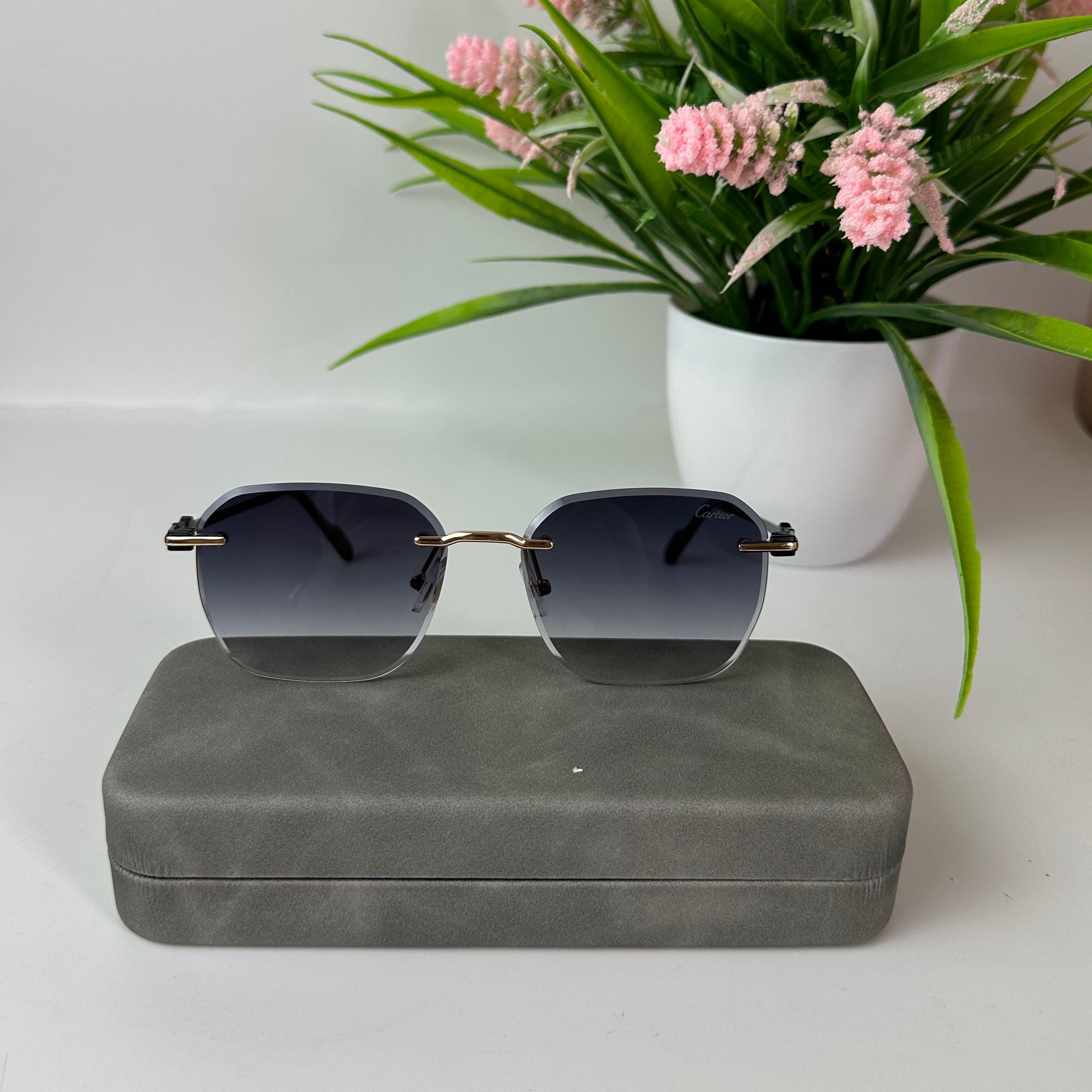 Lunettes Cartier Élégance Horizon