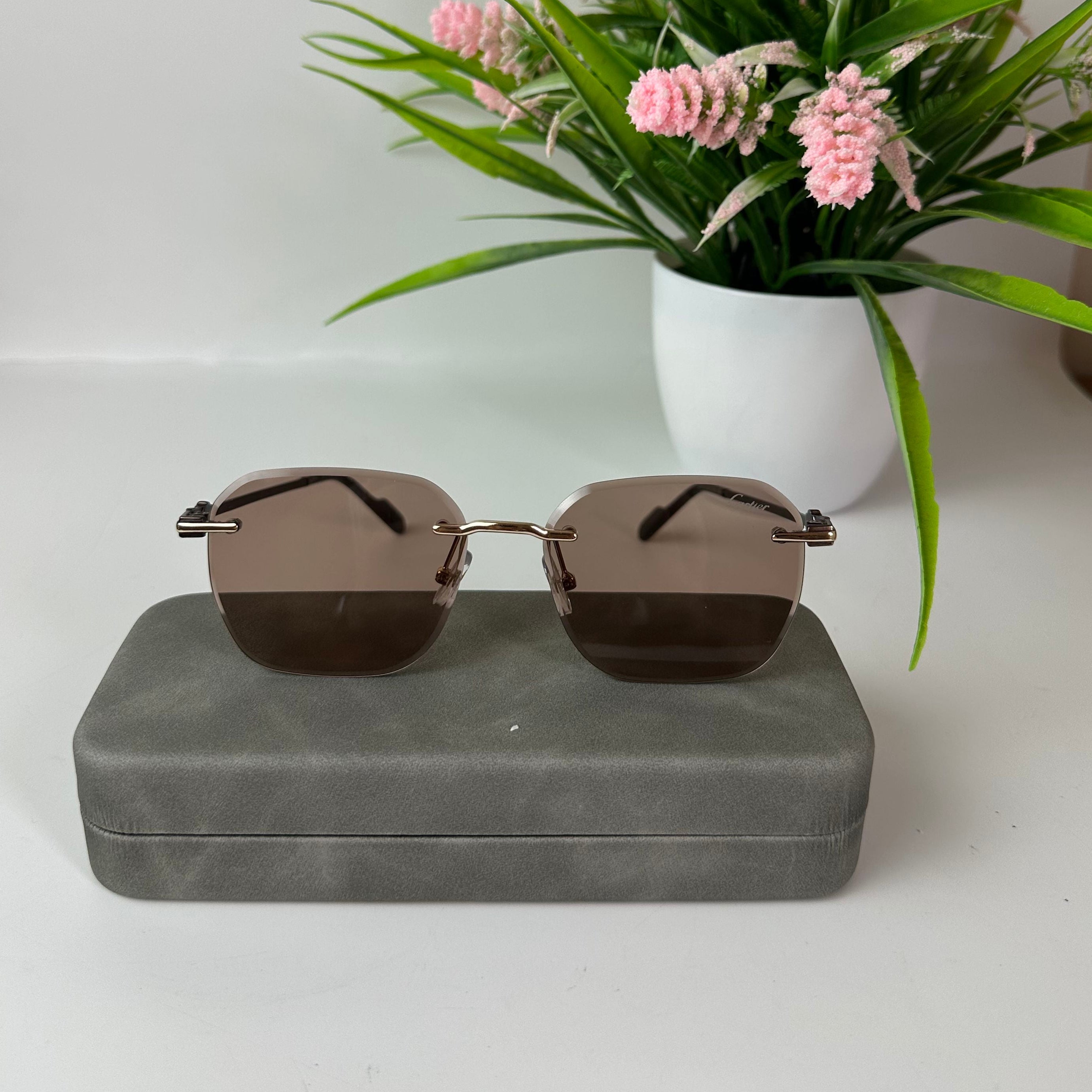 Lunettes Cartier Élégance Horizon