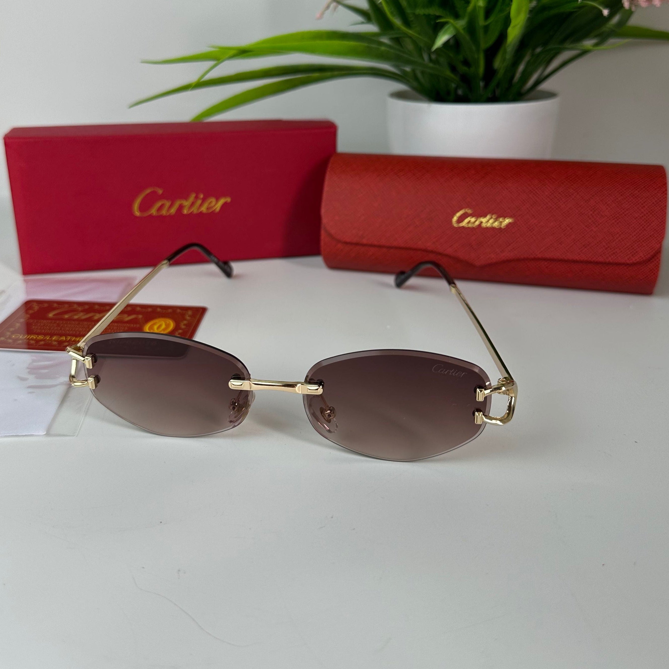 Lunettes Cartier Élan