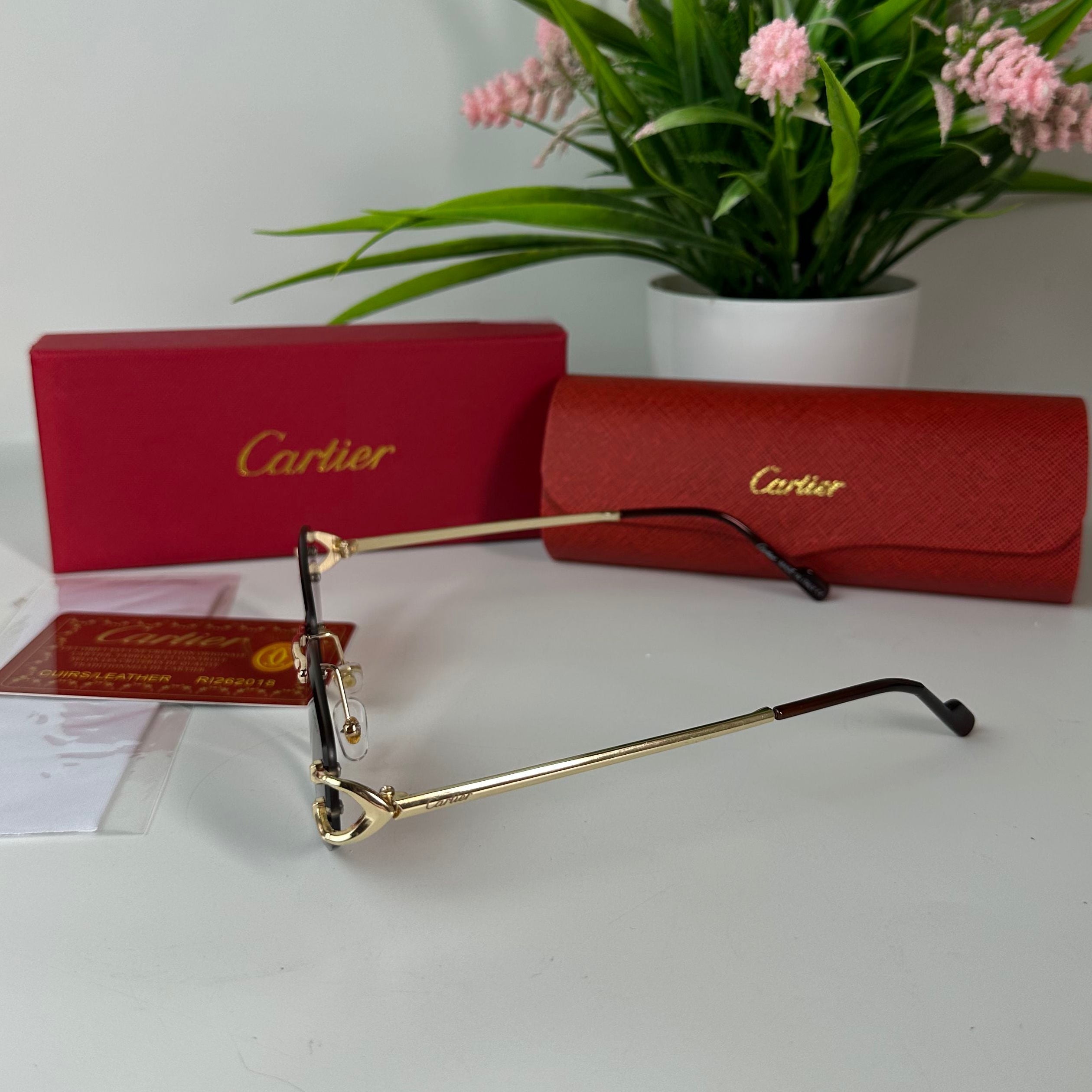 Lunettes Cartier Élan