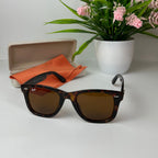 Lunettes RB Wayfarer