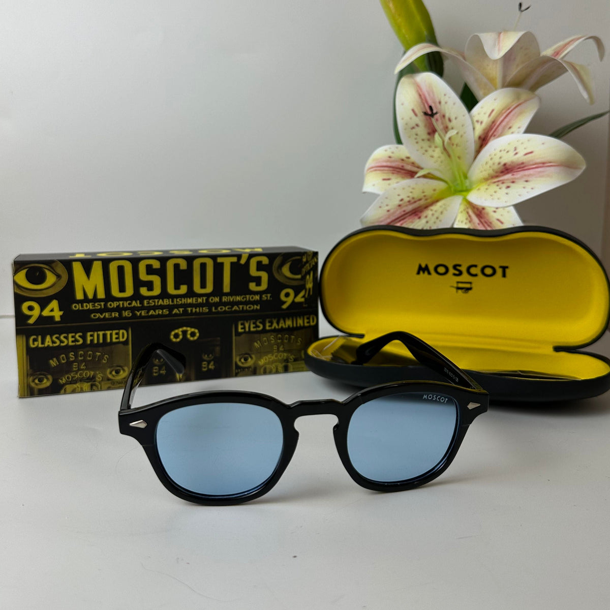 Lunettes MOSCOT AERIS