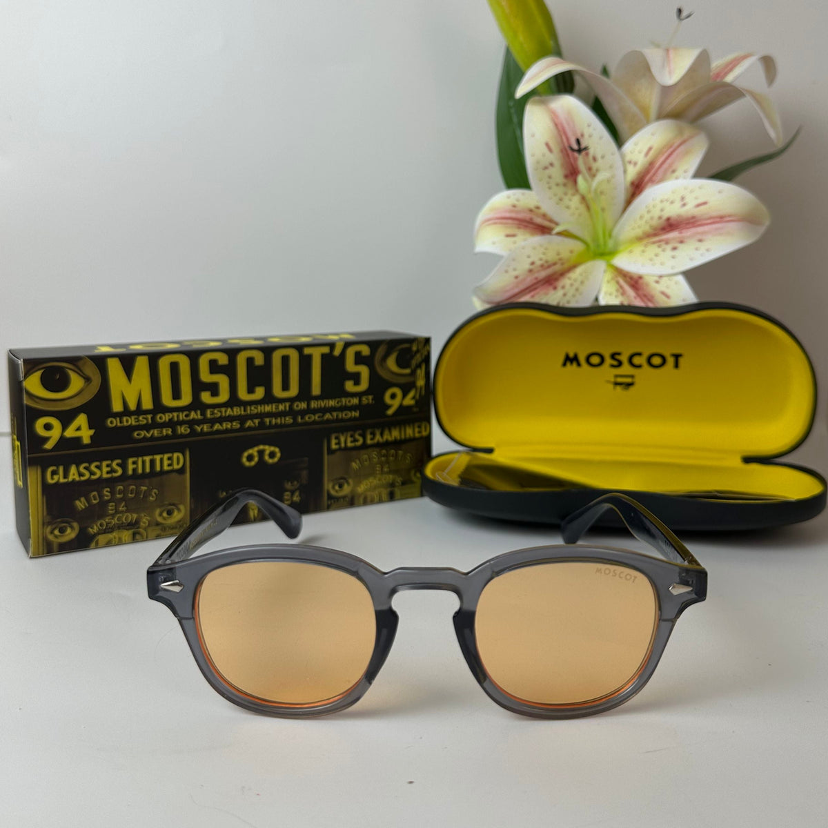 Lunettes MOSCOT AERIS