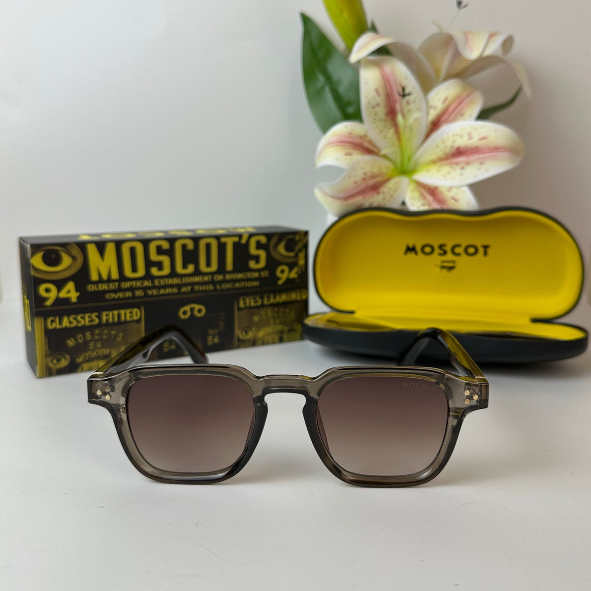 Lunettes Moscot DAHVEN
