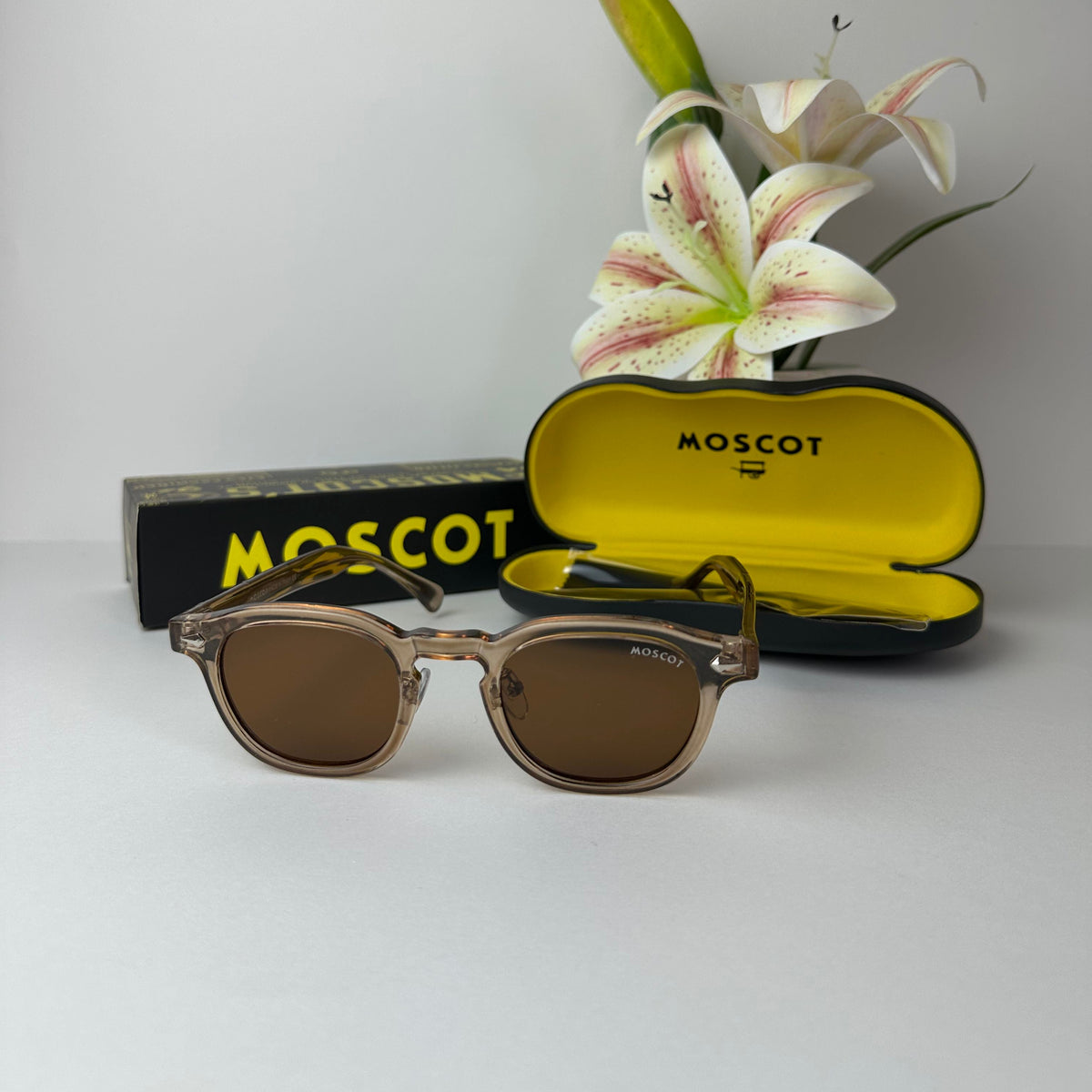 Lunettes Moscot Astor